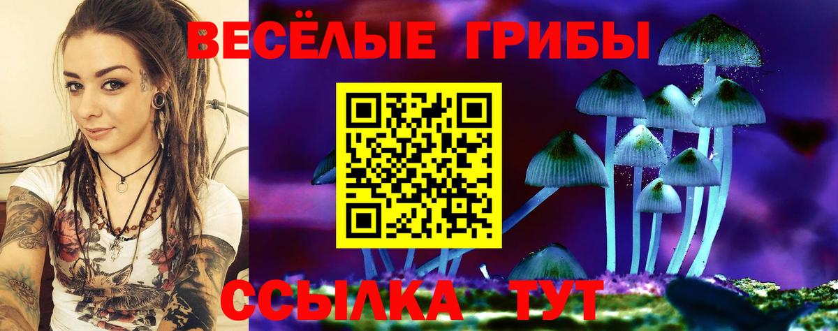 Галлюциногенные грибы Cubensis Саров