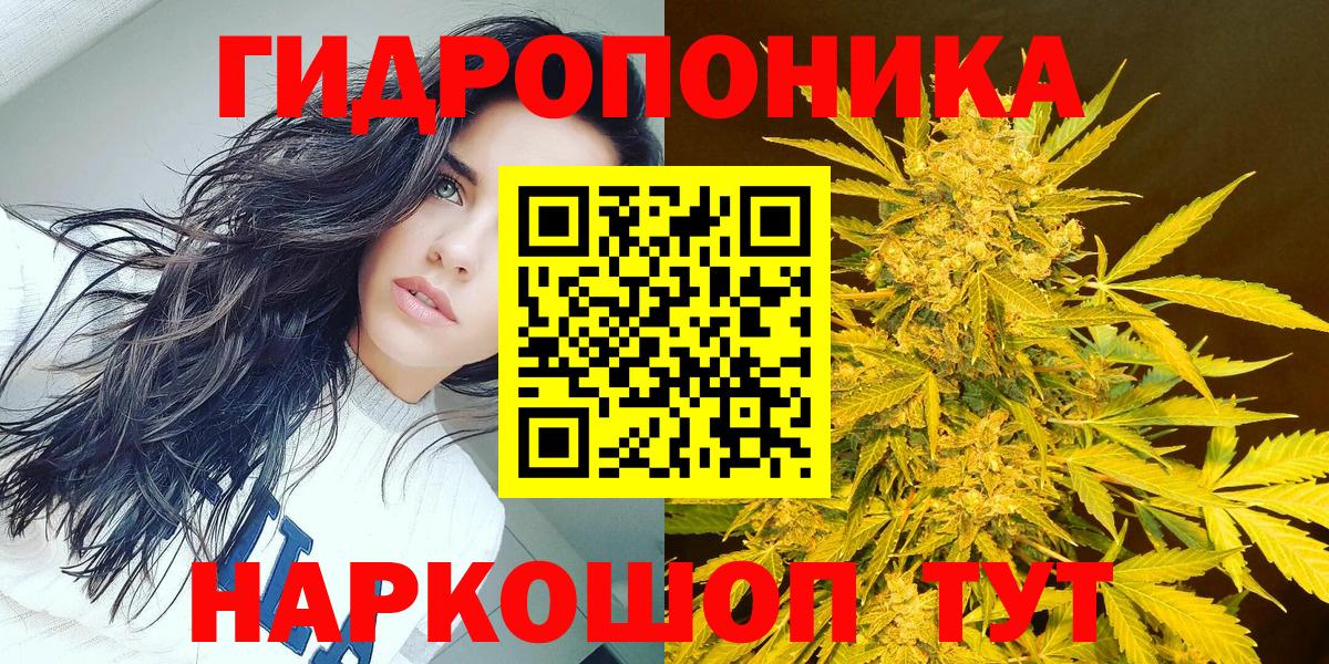 Каннабис OG Kush Саров